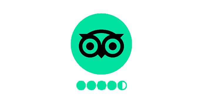 TripAdvisor Reviews